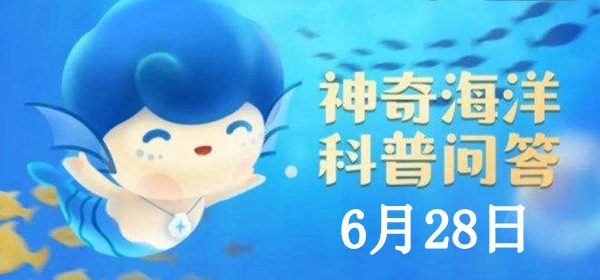 神奇海洋6.28答案：位于广东省阳江市的海陵岛自然资源丰富景色优美该岛没有？ 剧情深度解读与沉浸体验