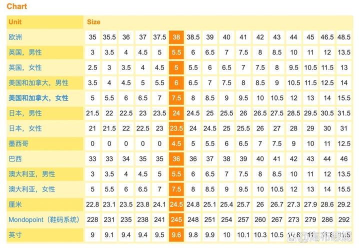 深入探讨欧洲尺码日本尺码专线美国的品牌选择与尺码转换