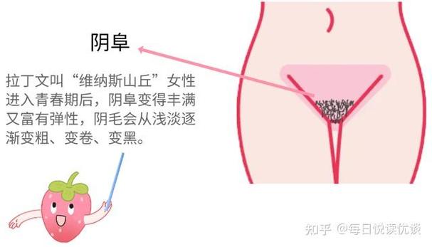 大荫蒂bbbbbb大荫蒂免费不花钱，网友：真是太棒了！