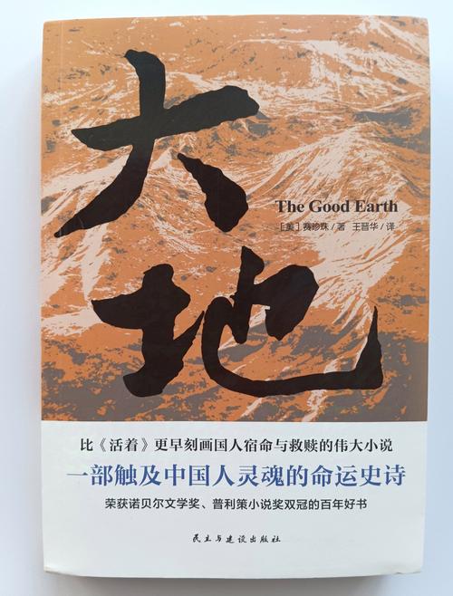  探索幻想与现实的交汇：《大地资源中文在线观看官网小说》