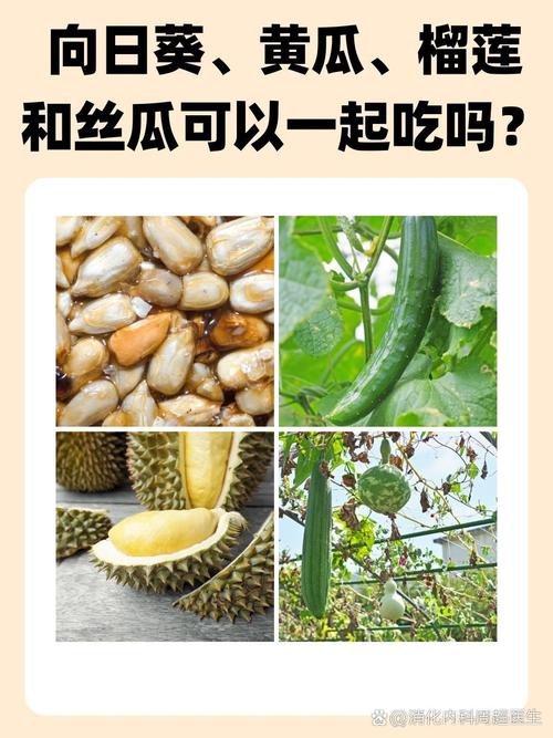  “榴莲秋葵向日葵茄子丝瓜大全”：探索五种奇特美味的奇幻组合