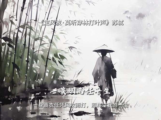  在烟雨朦胧中绽放的力量——“苏家有女1v5一蓑烟雨”