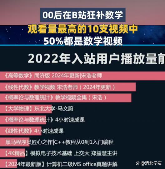  免费B站大全2024年更新引发热议，网友：期待更多优质内容！